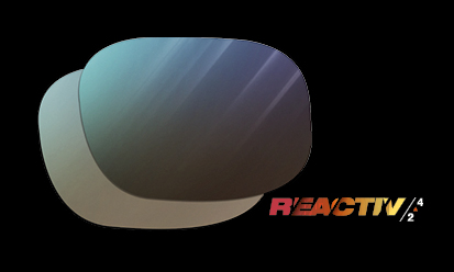 Julbo Reactiv 2-4 glas