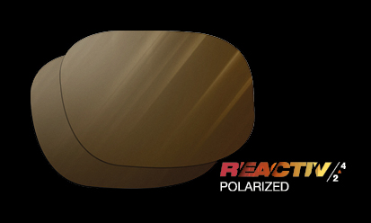 Julbo Reactiv 2-4 Polarized glas